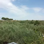 Baglio Il Giovinetto Bed & Breakfast 4*