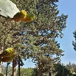 Baglio Il Giovinetto 4*