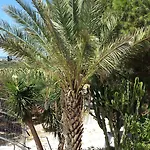 Bed & Breakfast Baglio Il Giovinetto Marsala