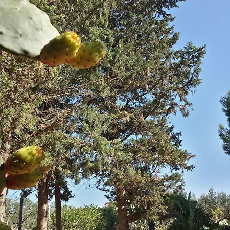 Baglio Il Giovinetto 4*